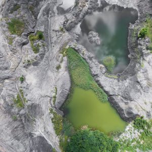 Egestas facilisi risus gravida cursus pulvinar